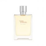 Terre D’Hermès Eau Givrée 100 ML