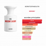 Indecent Cherry BORNTOSTANDOUT 100 ML - Imagen 2